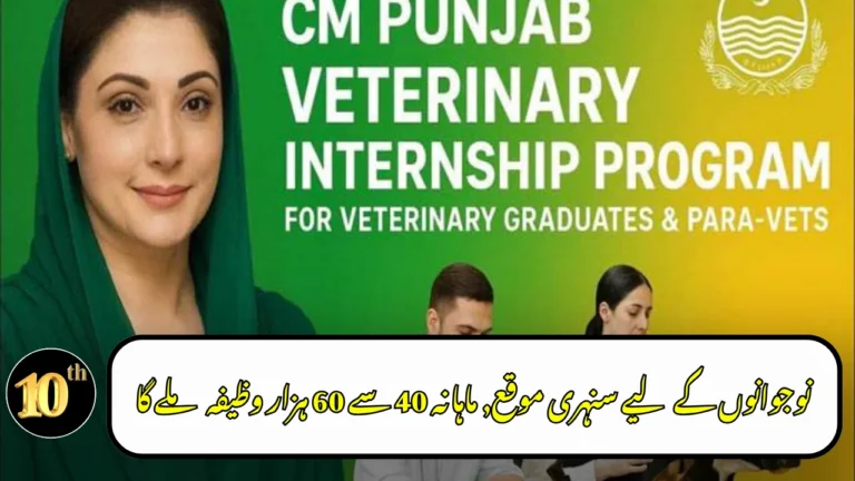 Punjab Announces Internship Program for Veterinary Graduates