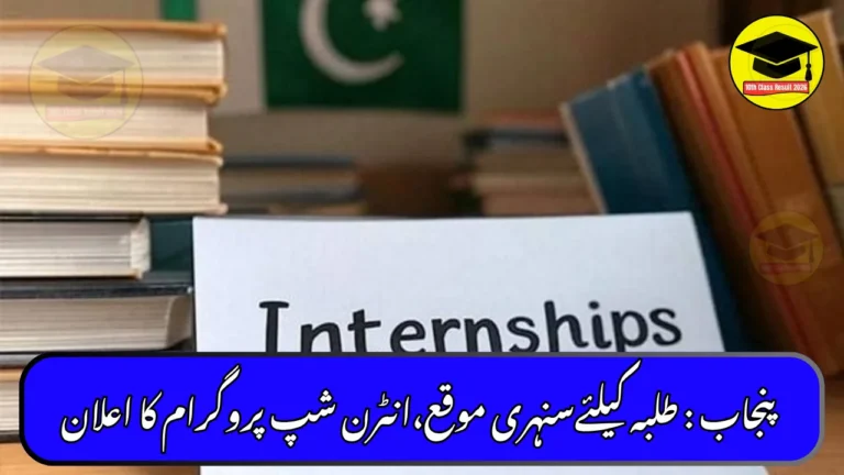 Punjab Announces New Internship Program for Health Students