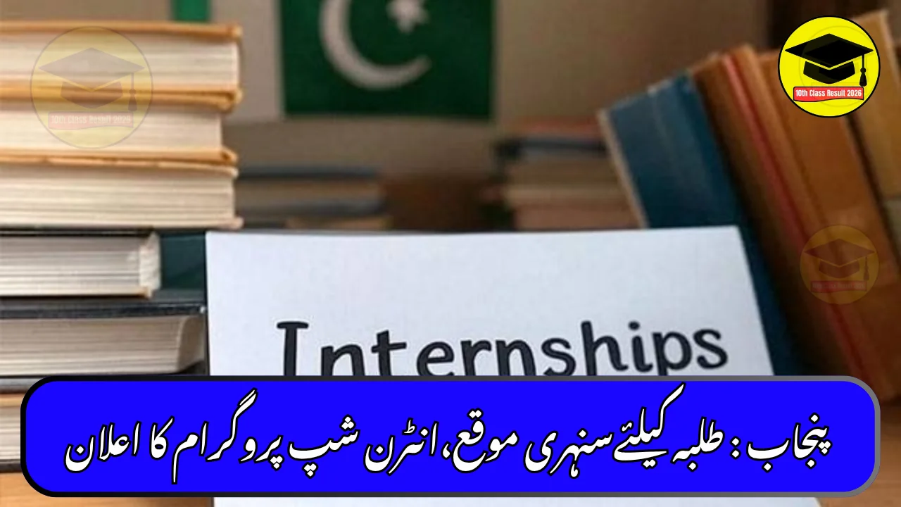 Punjab Announces New Internship Program for Health Students